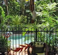 Daintree Rainforest Retreat Motel - Accommodation Coffs Harbour