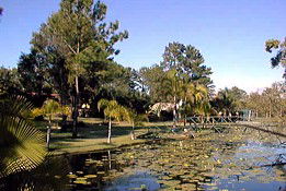 Anderleigh QLD Accommodation Coffs Harbour