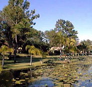 Twin Lakes Hotel - Accommodation Coffs Harbour
