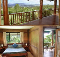 Atherton Blue Gum - Accommodation Coffs Harbour
