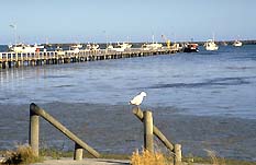 Suttontown SA Accommodation Coffs Harbour