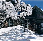 Arlberg Hotel Mt Buller - Accommodation Coffs Harbour