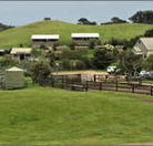 Ace Hi Riding Ranch - Accommodation Coffs Harbour