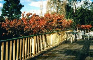 Heronswood House - Accommodation Coffs Harbour 5