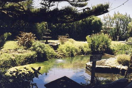 Bayside Gardens - Accommodation Coffs Harbour