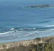 Beach Haven Apartments - Accommodation Coffs Harbour