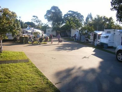 Australiana Top Tourist Park - Accommodation Coffs Harbour 4