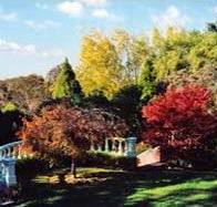 Edgelinks Bed And Breakfast - Accommodation Coffs Harbour