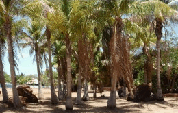 King Sound Resort Hotel - Accommodation Coffs Harbour