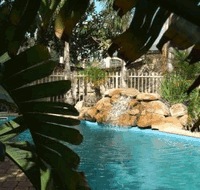 Comfort Inn Grange on Farrelly - Accommodation Coffs Harbour