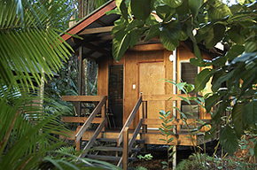 Cape Tribulation QLD Accommodation Coffs Harbour