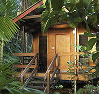 Cape Trib Beach House - Accommodation Coffs Harbour