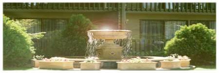 Best Western Tall Trees Motel - Accommodation Coffs Harbour 2