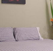 Stingo Hotel - Accommodation Coffs Harbour
