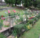 Kintail Homestay - Accommodation Coffs Harbour