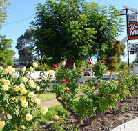 Narrogin Motel - Accommodation Coffs Harbour