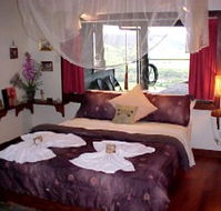 Daintree Cloud 9 - Accommodation Coffs Harbour