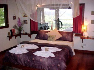 Daintree Cloud 9 - Accommodation Coffs Harbour 0
