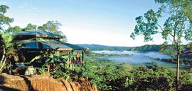 Daintree Cloud 9 - Accommodation Coffs Harbour 1