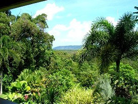 Daintree Manor - Accommodation Coffs Harbour 3