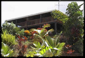 Daintree Manor - Accommodation Coffs Harbour 5