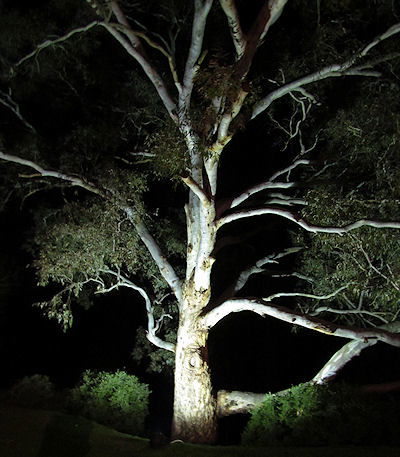 Tally Ho Lodge - Accommodation Coffs Harbour 3