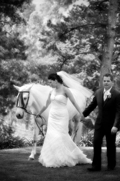 Tally Ho Lodge - Accommodation Coffs Harbour 6