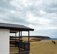 Waves and Wildlife - Accommodation Coffs Harbour