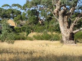 Springton SA Accommodation Coffs Harbour