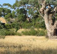 Wings Barossa Bird and Bush Retreat - Accommodation Coffs Harbour