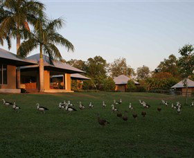 Feathers Sanctuary - Accommodation Coffs Harbour 0