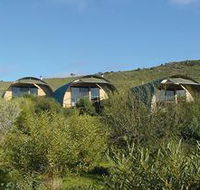 Saunders Gorge Sanctuary - Lodges - Accommodation Coffs Harbour