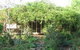 Lemontree Cottage - thumb 5