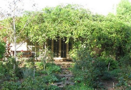 Lemontree Cottage - Accommodation Coffs Harbour 5