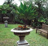 Bangalow Retreat - Accommodation Coffs Harbour