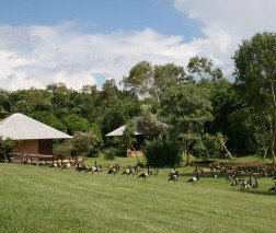 Feathers Sanctuary - Accommodation Coffs Harbour 3