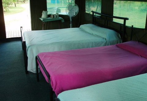 Litchfield Safari Camp - Accommodation Coffs Harbour 2