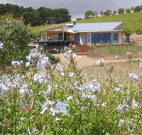 The Blue Grape Vineyard Accommodation - Accommodation Coffs Harbour