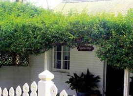 Peppertree Cottage Bed And Breakfast - Normanville - Accommodation Coffs Harbour 1