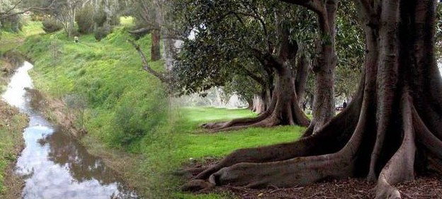 Gawler SA Accommodation Coffs Harbour