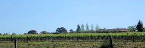 The Linear Way Bed And Breakfast - Accommodation Coffs Harbour 4