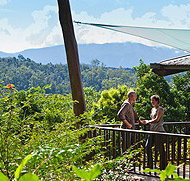 Rose Gums Wilderness Retreat - Accommodation Coffs Harbour