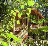 Rivers Edge Rainforest Retreat - Accommodation Coffs Harbour