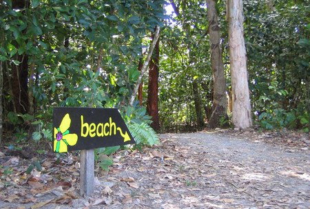 Cape Tribulation Camping - Accommodation Coffs Harbour 2