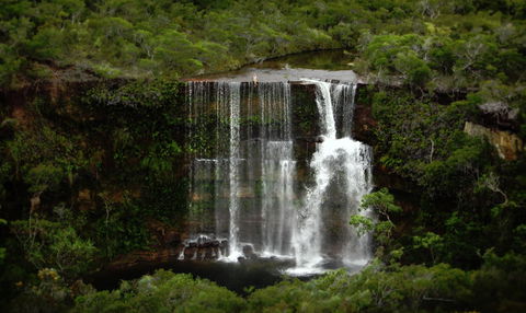 Haggerstone Island Guest House - Accommodation Coffs Harbour 5
