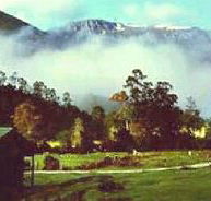 Mountain Valley Wilderness Holidays - Accommodation Coffs Harbour