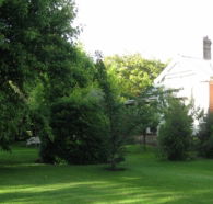 Oakdene Heritage Accommodation - Accommodation Coffs Harbour
