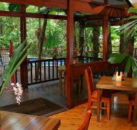 Daintree Wilderness Lodge - Accommodation Coffs Harbour
