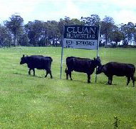 Cluan Homestead - The Managers Residence - Accommodation Coffs Harbour