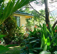 Daintree Valley Haven - Accommodation Coffs Harbour